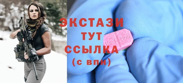 СК Ельня