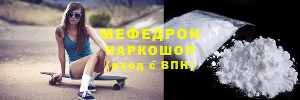 СК Ельня