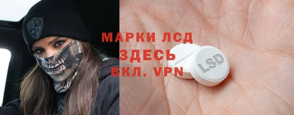 СК Ельня