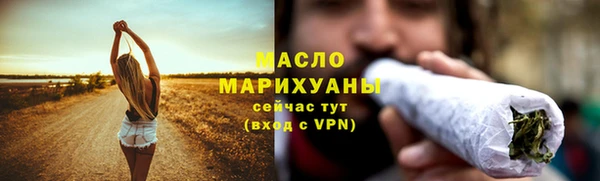 СК Ельня