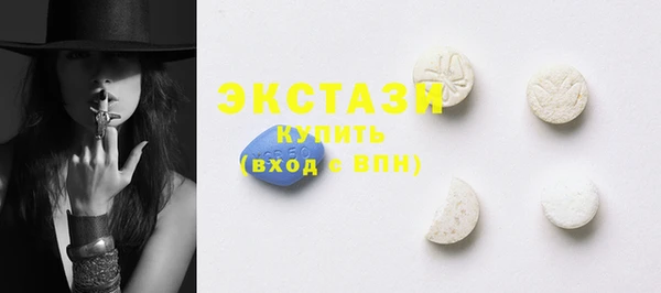 СК Ельня