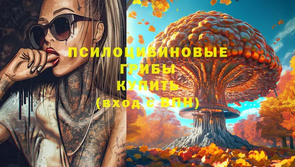 не бодяженный Елабуга