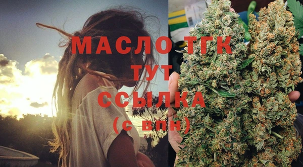 СК Ельня