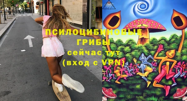 СК Ельня