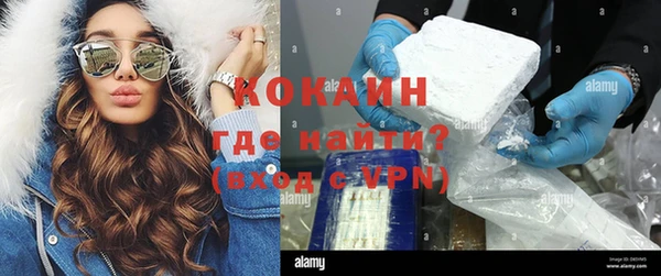 СК Ельня