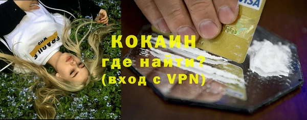 СК Ельня